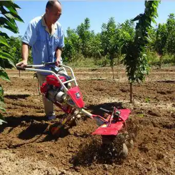 Small Tiller